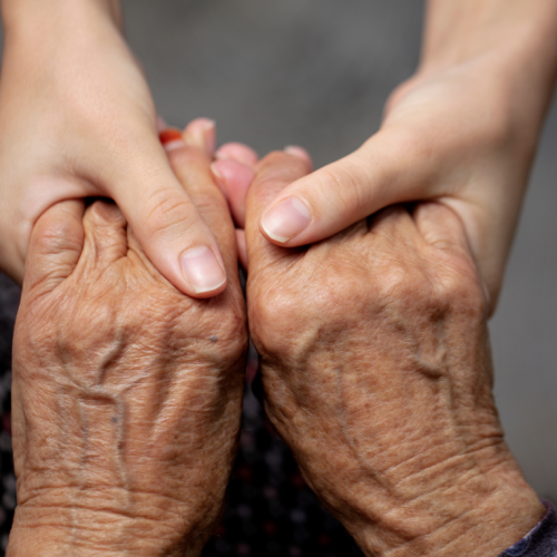 Untitled design (20)